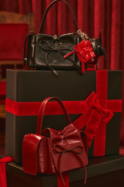 LYRA BOW DETAIL BAG BURGUNDY